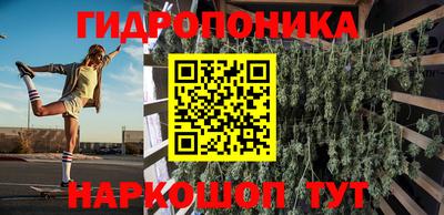 стафф Будённовск