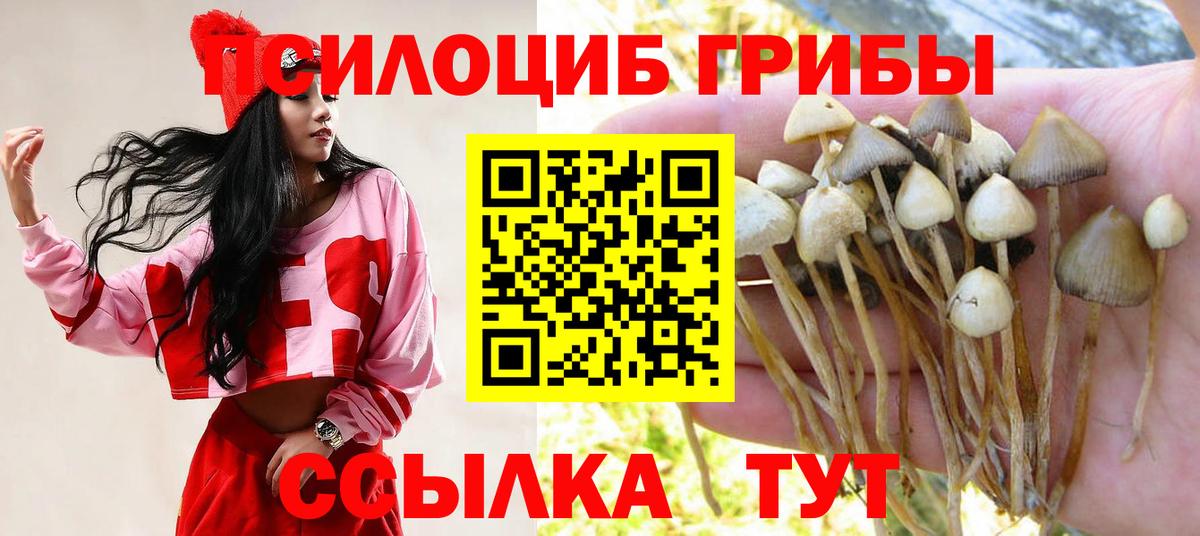 Псилоцибиновые грибы Psilocybine cubensis  Вход с VPN  Пугачёв 